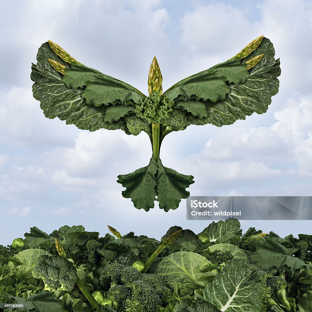 Health Food Freedom Health food freedom diet concept with green vegetables and dark leafy food shaped as a bird flying upward as a healthy eating symbol of the power of fresh garden produce organically grown as an icon of natural nutrition as kale swiss chard spinach collards broccoli and cabbage. Animal Body Part Stock Photo