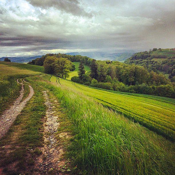 istock Rural road in Switzerland 497283895
