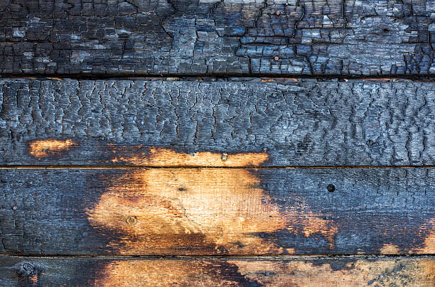 burnt holz bretter - burned tree stock-fotos und bilder