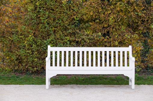 Wooden red park bench, sidewalk and garden path, shadows at dusk, green background. Vilagarcía de Arousa, Rías Baixas, Pontevedra province,  Galicia, Spain.