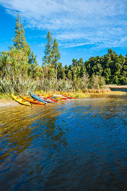 Kayaks Kayaks on lake Peringa in West coast of New Zealand. franz josef glacier photos stock pictures, royalty-free photos & images