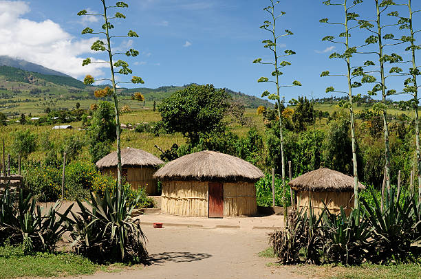 African Village Traditional round mud house in africa near Arusha in Tanzania arusha region stock pictures, royalty-free photos & images