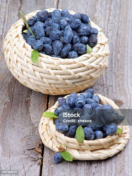 Madressilva Bagas - Fotografias de stock e mais imagens de Alimentação Saudável - Alimentação Saudável, Azul, Azul escuro