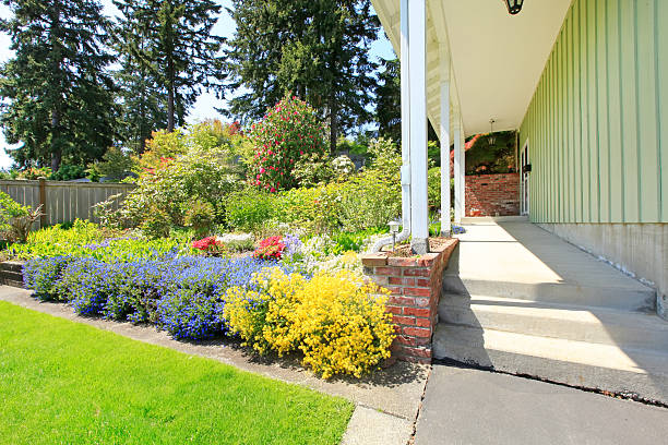 istock Entrance porch blooming flower bed 497301551
