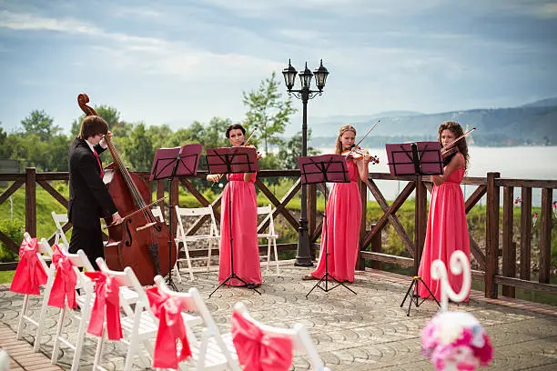 Photo of Quartet of classical musicians playing at a wedding