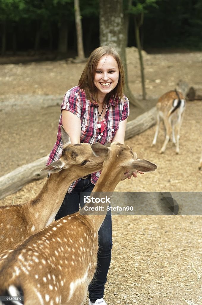 Frau Füttern deer in einem park - Lizenzfrei Agrarbetrieb Stock-Foto