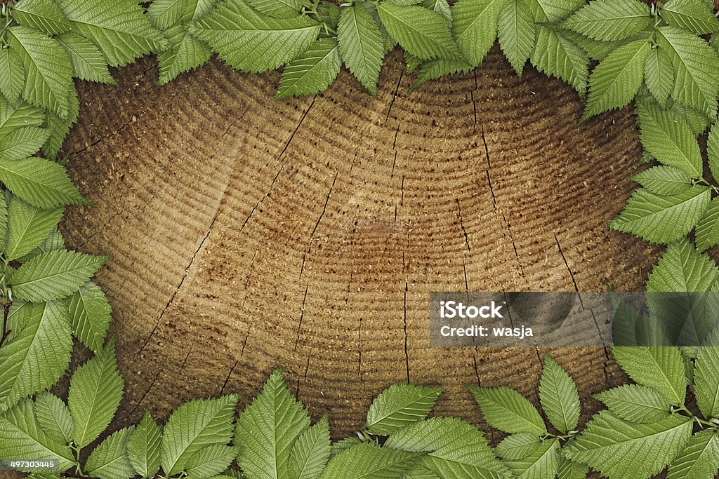 Antigo fundo de madeira com moldura floral verde - Royalty-free Botânica - Ciência de plantas Foto de stock