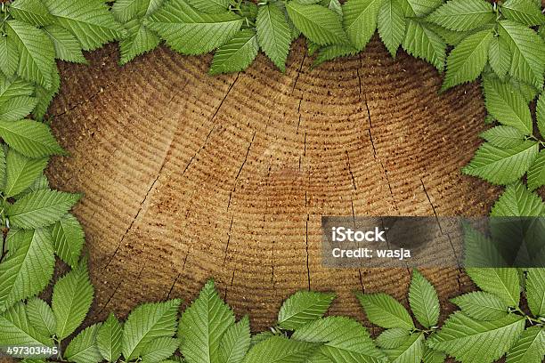 Antigo Fundo De Madeira Com Moldura Floral Verde - Fotografias de stock e mais imagens de Botânica - Ciência de plantas - Botânica - Ciência de plantas, Botão - Estágio de flora, Castanho