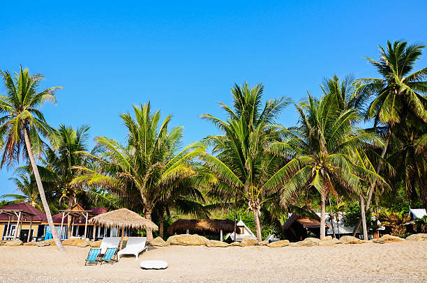 istock Tropical beach  bungalow and coconut trees 497303563