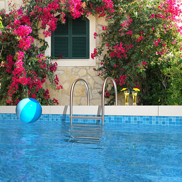 istock swimming pool in the garden 497303897