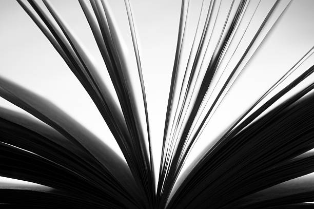 istock Book detail in black and white 497304909