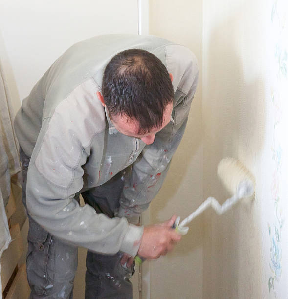 istock Decorator painting a residential property with a roller 497307604
