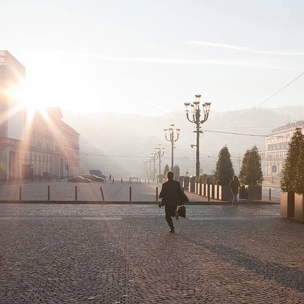 View of the city of Turin in Piedmont
