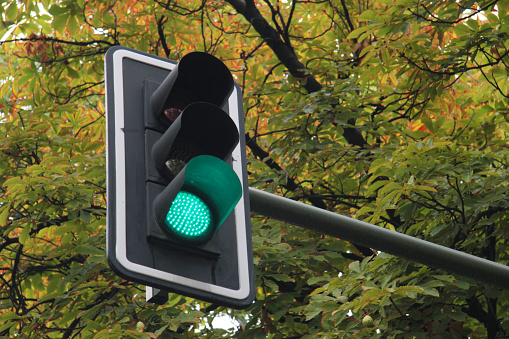 Traffic light in green with a tree behind