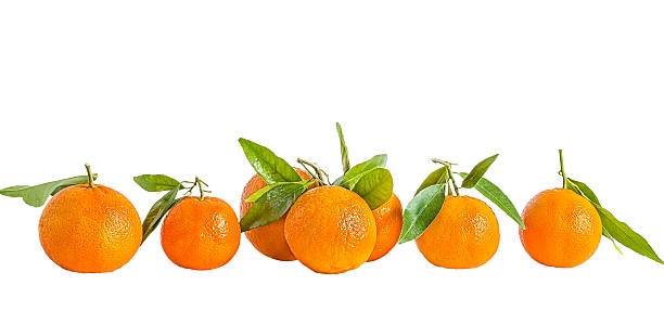 istock Orange tangerines on a white background 497314738