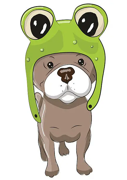 Vector illustration of Dog in froggy hat