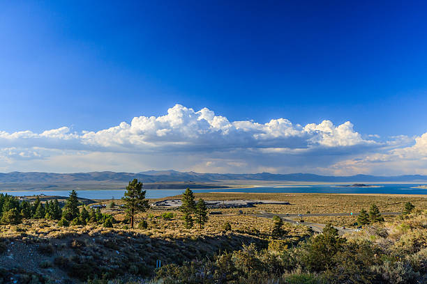 istock Mono Lake landscape, California, USA. 497314990