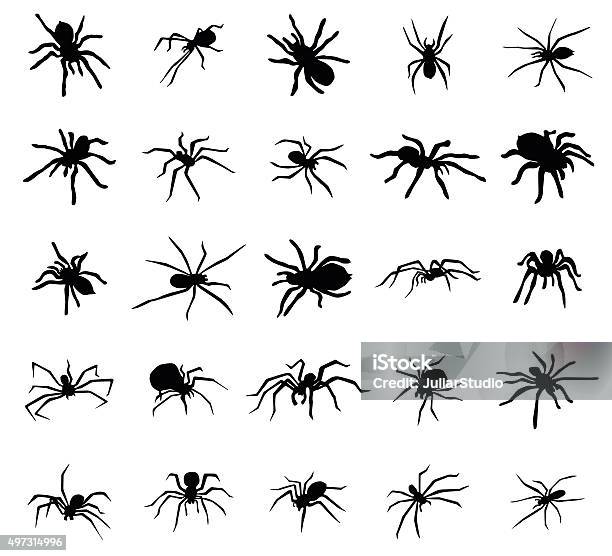 Spider Silhouettes Set Stock Illustration - Download Image Now - Spider, In Silhouette, Vector