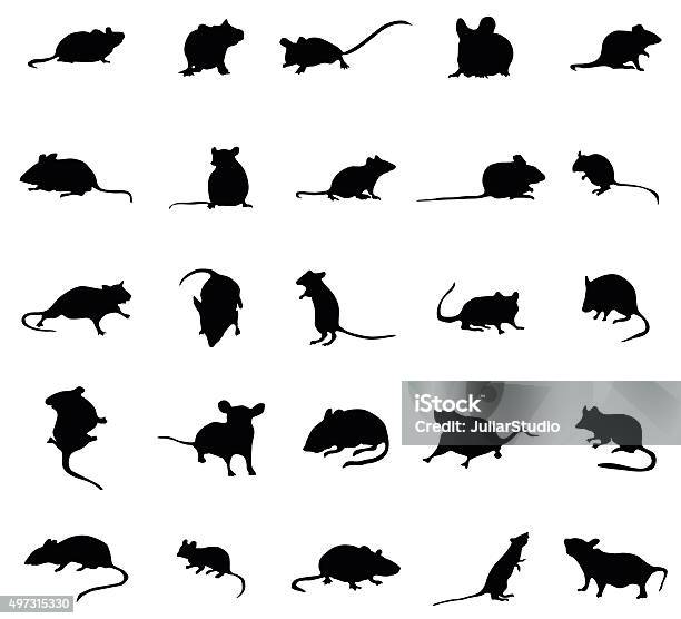 Ensemble De Silhouettes De La Souris Vecteurs libres de droits et plus d'images vectorielles de Rat - Rat, Souris - Animal, Contour