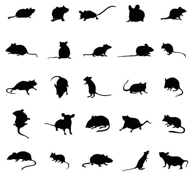 Mouse Silhouettes Set