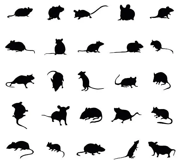 Vector illustration of Mouse silhouettes set