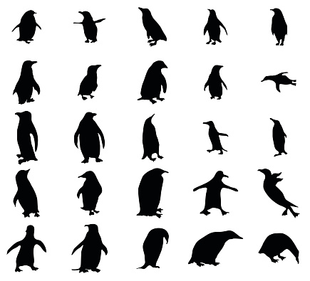 Penguin silhouettes set isolated on white background