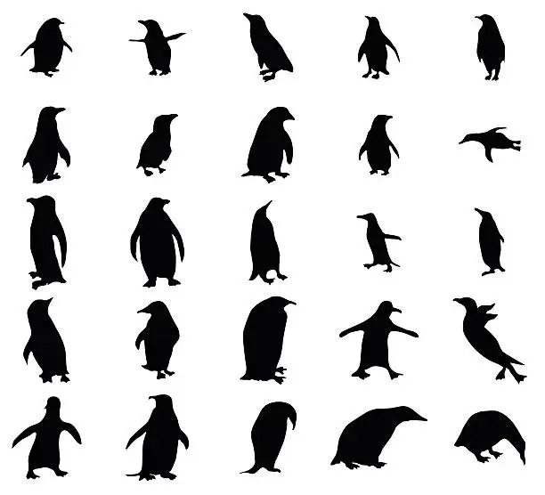 Vector illustration of Penguin silhouettes set