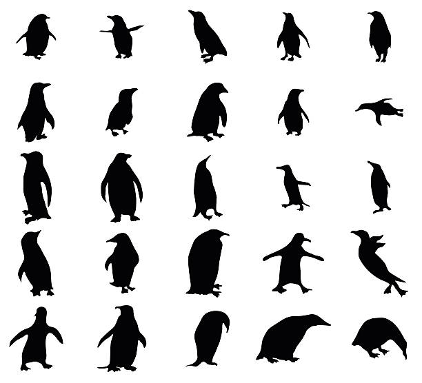 penguin silhouettes set - 企鵝 幅插畫檔、美工圖案、卡通及圖標