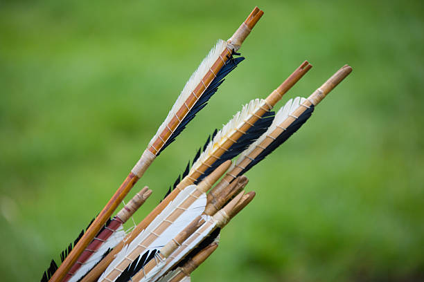 Arrow Fletching Close up shot of arrow fletchings ribe town photos stock pictures, royalty-free photos & images