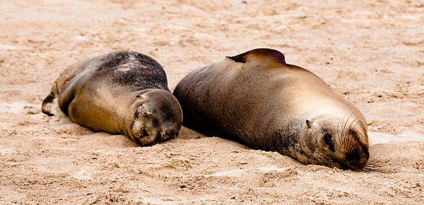 istock Mum and baby 497318828