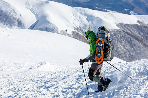 mochileiro mulher caminhando no inverno das montanhas no dia ensolarado - snowshoeing snowshoe women shoe - fotografias e filmes do acervo