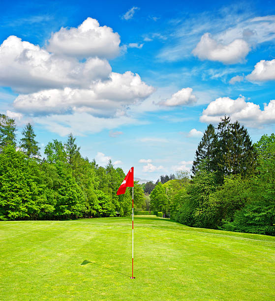 istock golf field. green grass and blue sky 497342627
