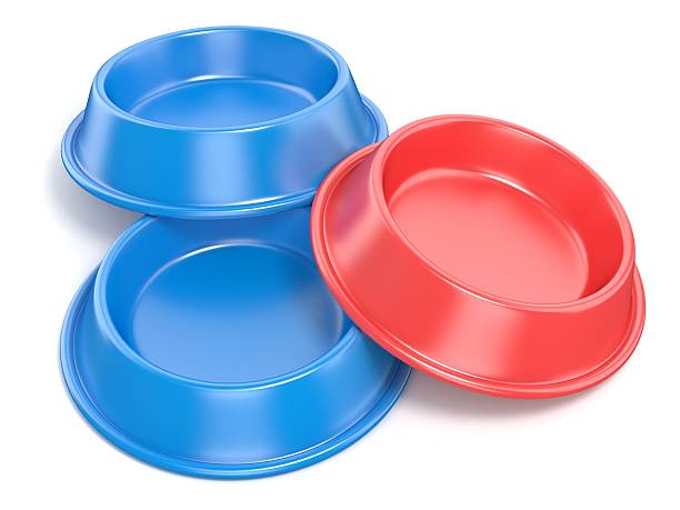 istock Two blue pet bowls for food and one red. 3D 497343096