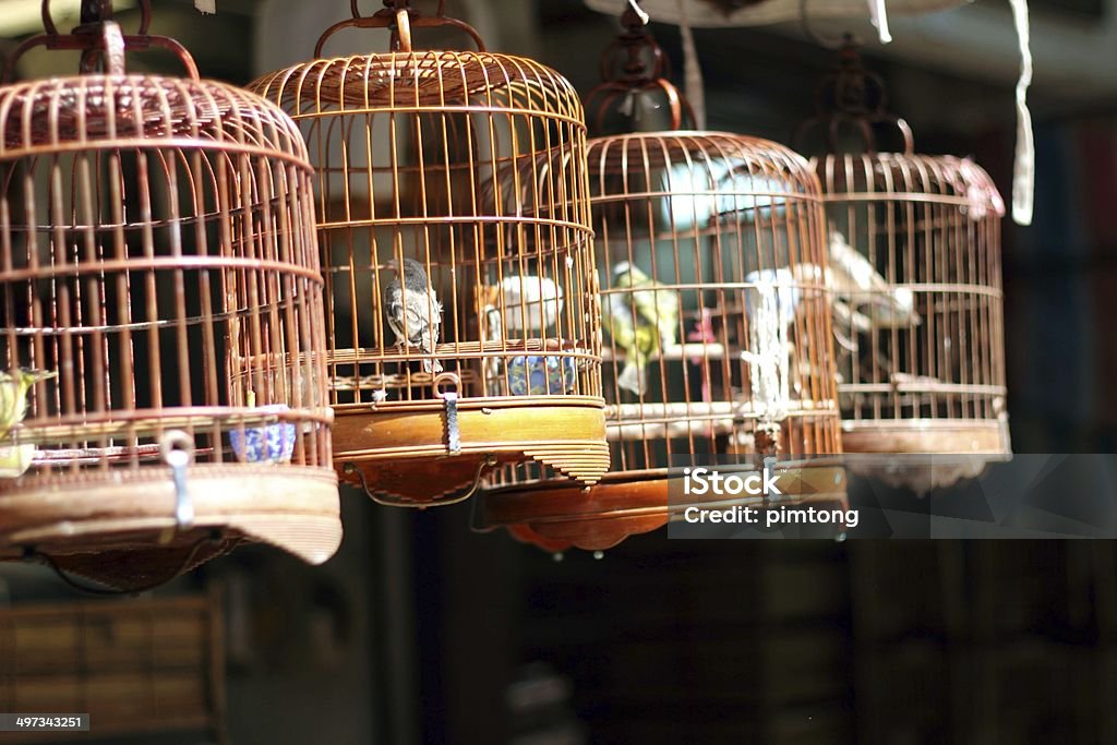 Brown wooden bird in a cage. bird in the wooden cage, taken in Hong Kong Bird Market Animal Stock Photo