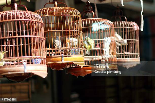 Brown Wooden Bird In A Cage Stock Photo - Download Image Now - Animal, Animal Markings, Art