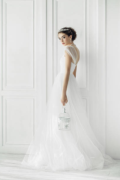 istock Studio shot of young beautiful bride 497343254