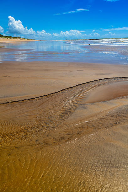 istock Itaunas Beach Espirito Santo Brazil dune sand sea sand 497343591
