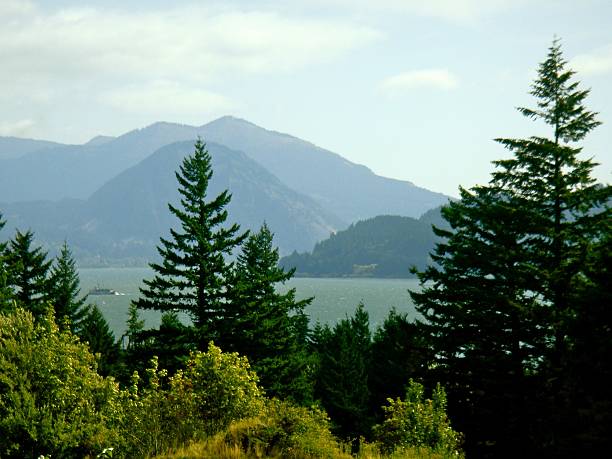 Columbia Gorge View toward Oregon