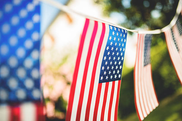 istock 4th of july campaign button on plank wood 497344831