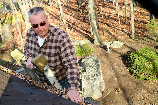 istock Man clearing leaves from gutter on house high on ladder 497344838