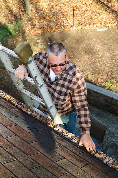 istock Man clearing leaves from gutter up high on ladder 497345288