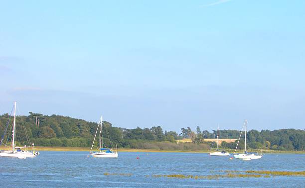 istock boats on the water 497346750