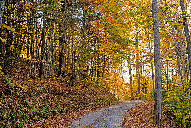 istock Mountainous road in fall colors in the Smokies. 497346916