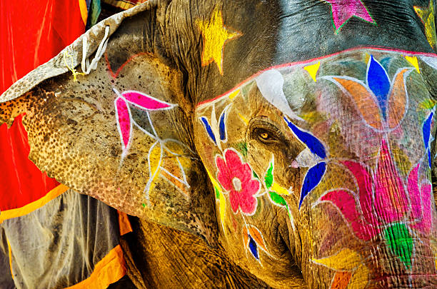 istock colorful painted Elephant in India 497347131