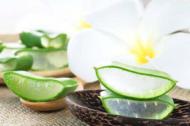 istock Aloe Vera use in spa for skin care 497347170