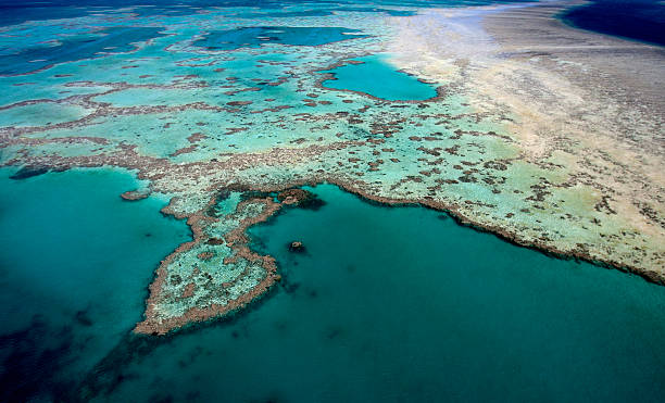 istock The Great Barrier Reef, Queensland, Australia 497348039