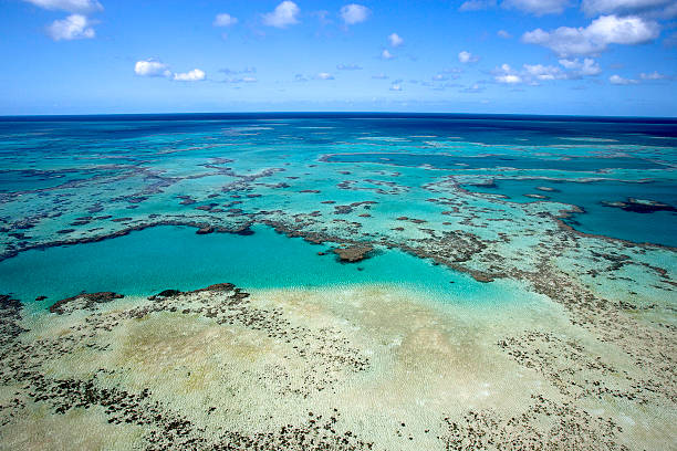 Aerial View of The Great Barrier Reef, Queensland, Australia