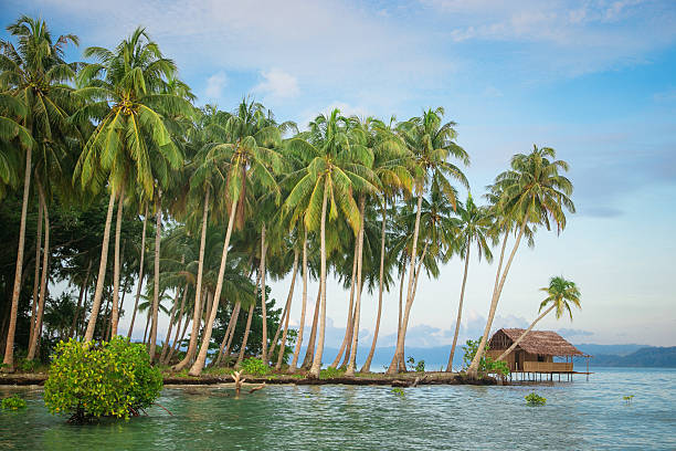 istock Bungalow on a desert tropical island 497348082