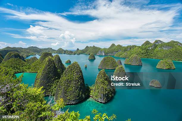 Beautiful Uninhabited Island Stock Photo - Download Image Now - Indonesia, Island, Papua Province - Indonesia