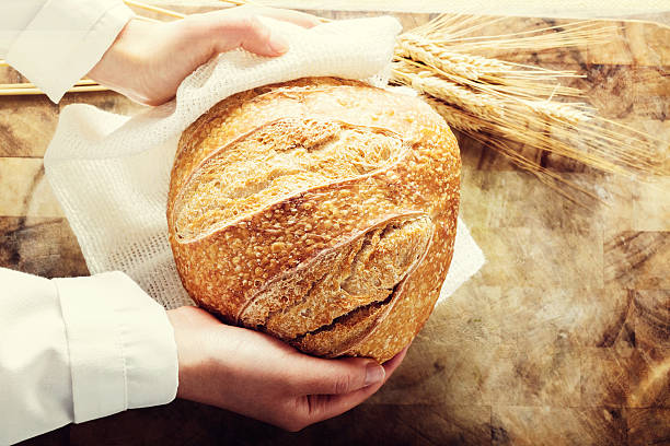 istock Baker holding a loaf of bread on rustic background 497349416